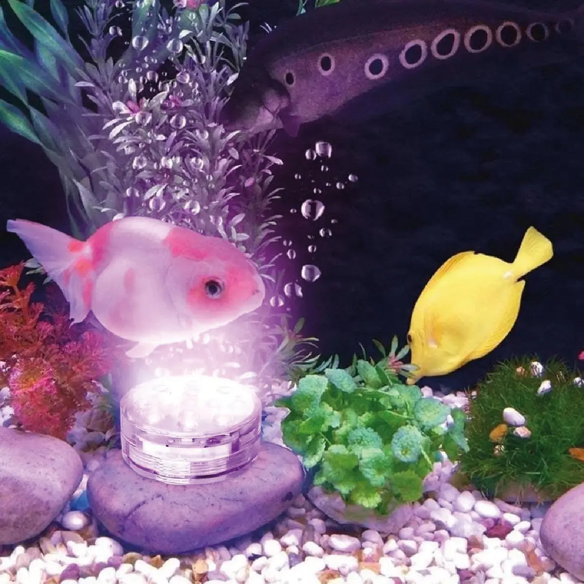 Luz LED RGB sumergible para piscina, pecera y jacuzzi
