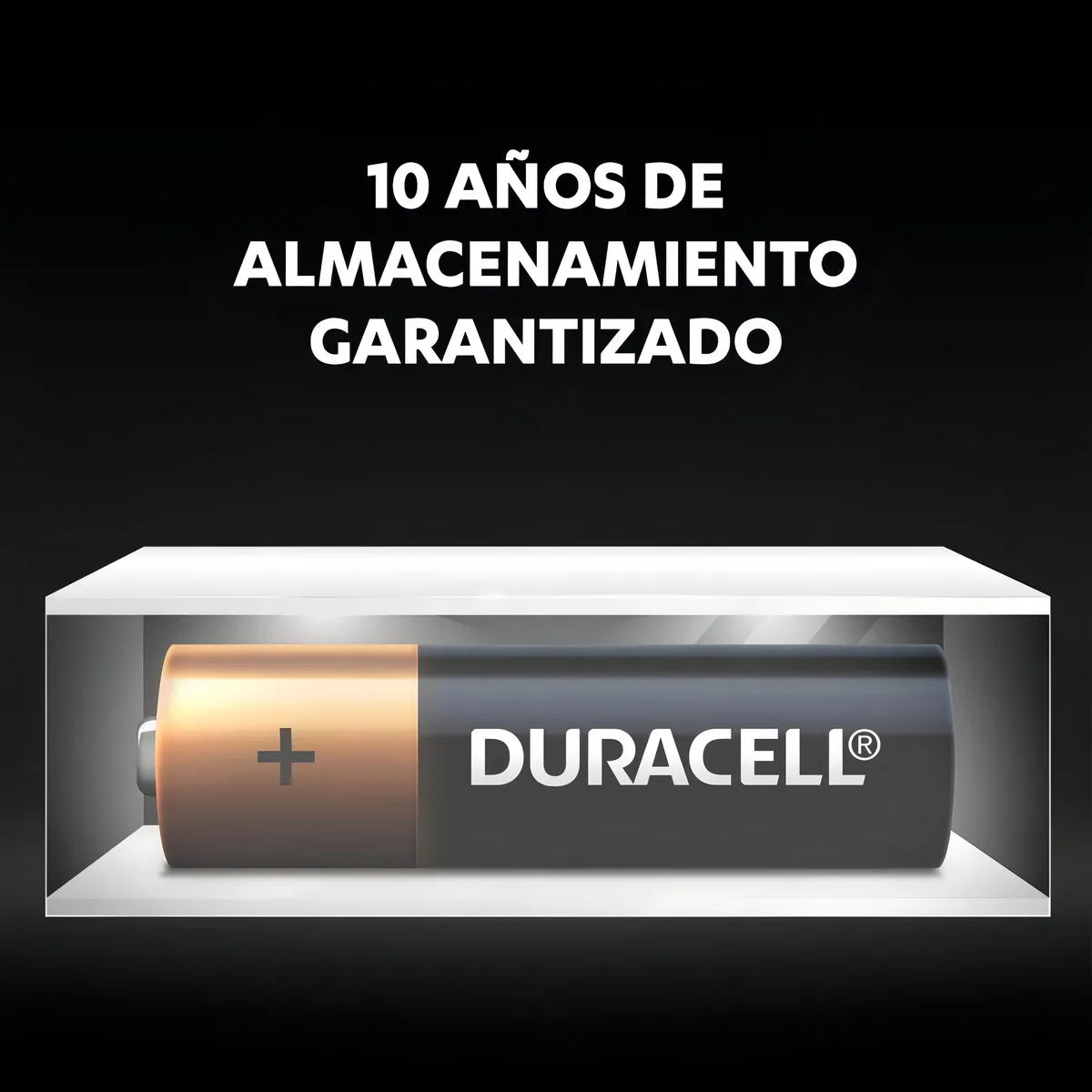 Pila Duracell pilas AA alcalinas 1.5V 6 unidades