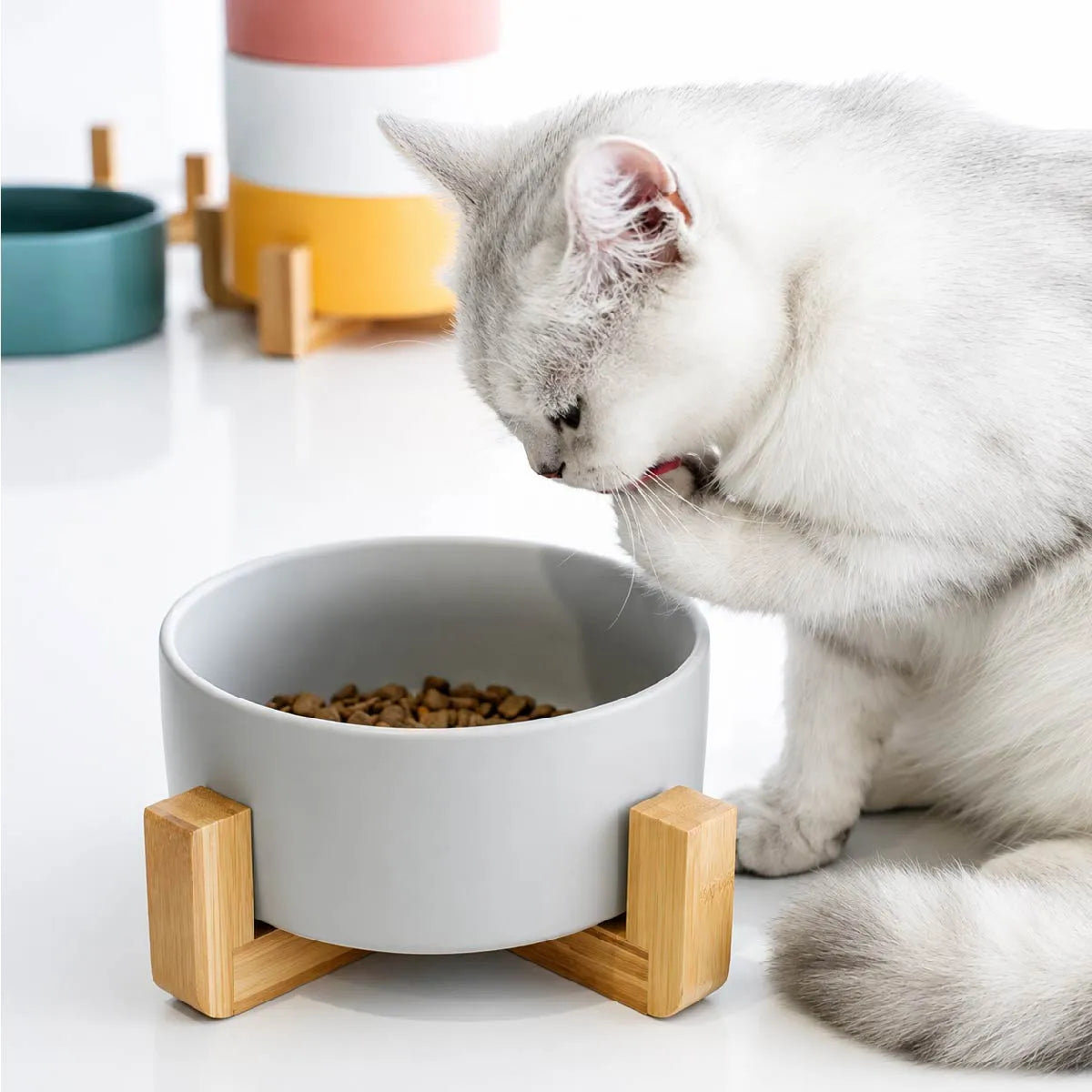 Comedero plato Bebedero Mascota Elevado Ceramica Base Madera