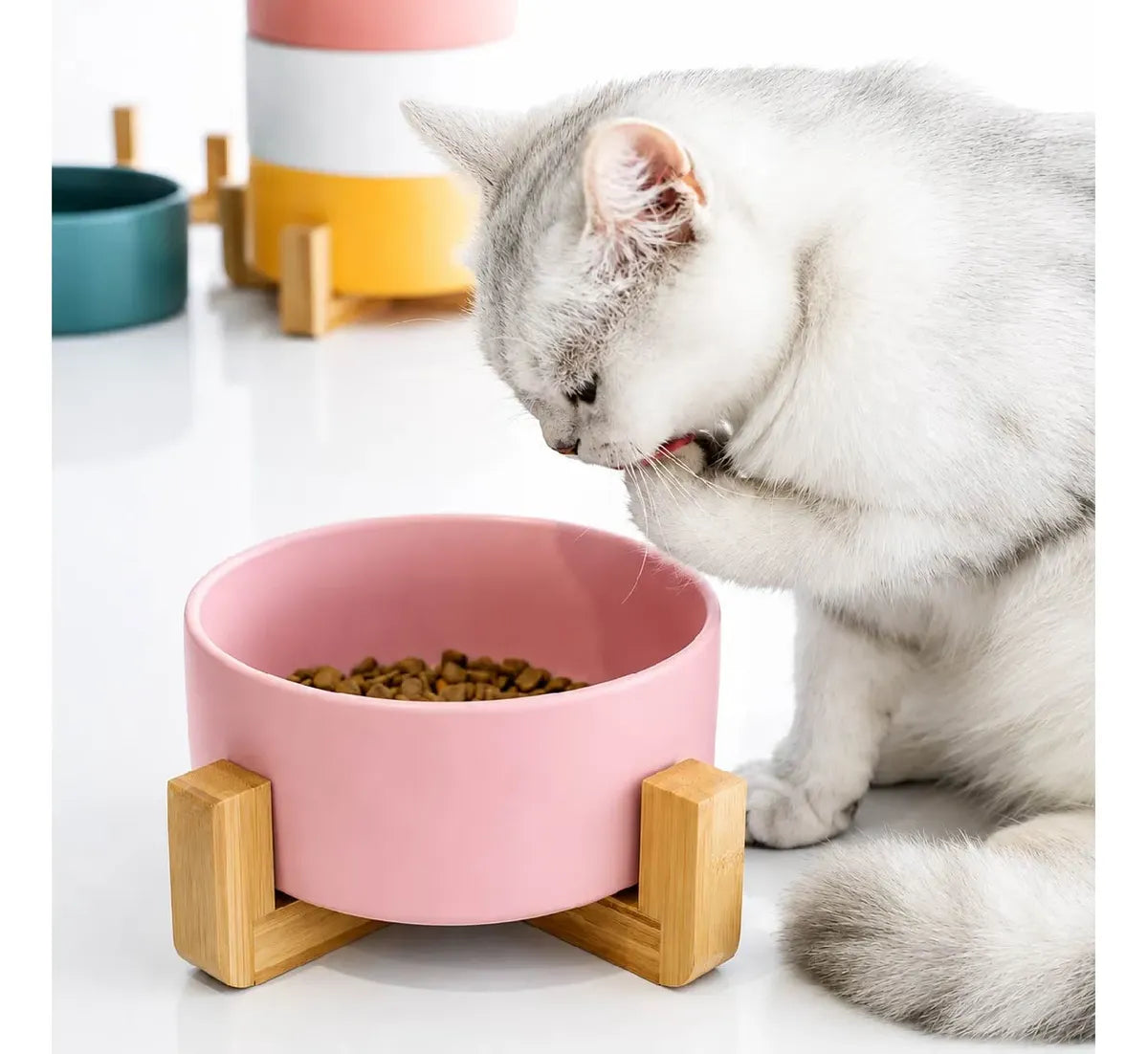 Comedero plato Bebedero Mascota Elevado Ceramica Base Madera